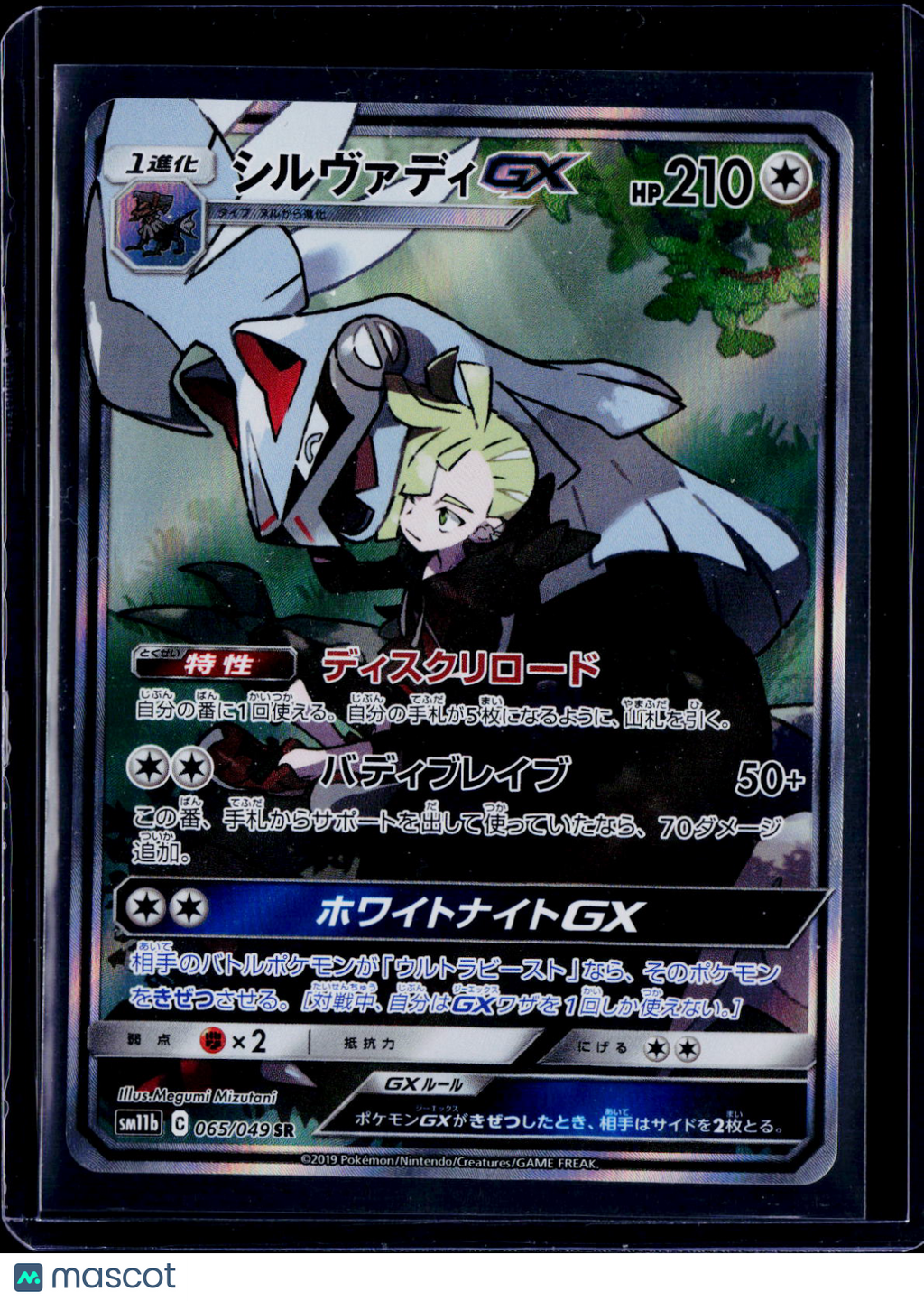Silvally GX 065/049