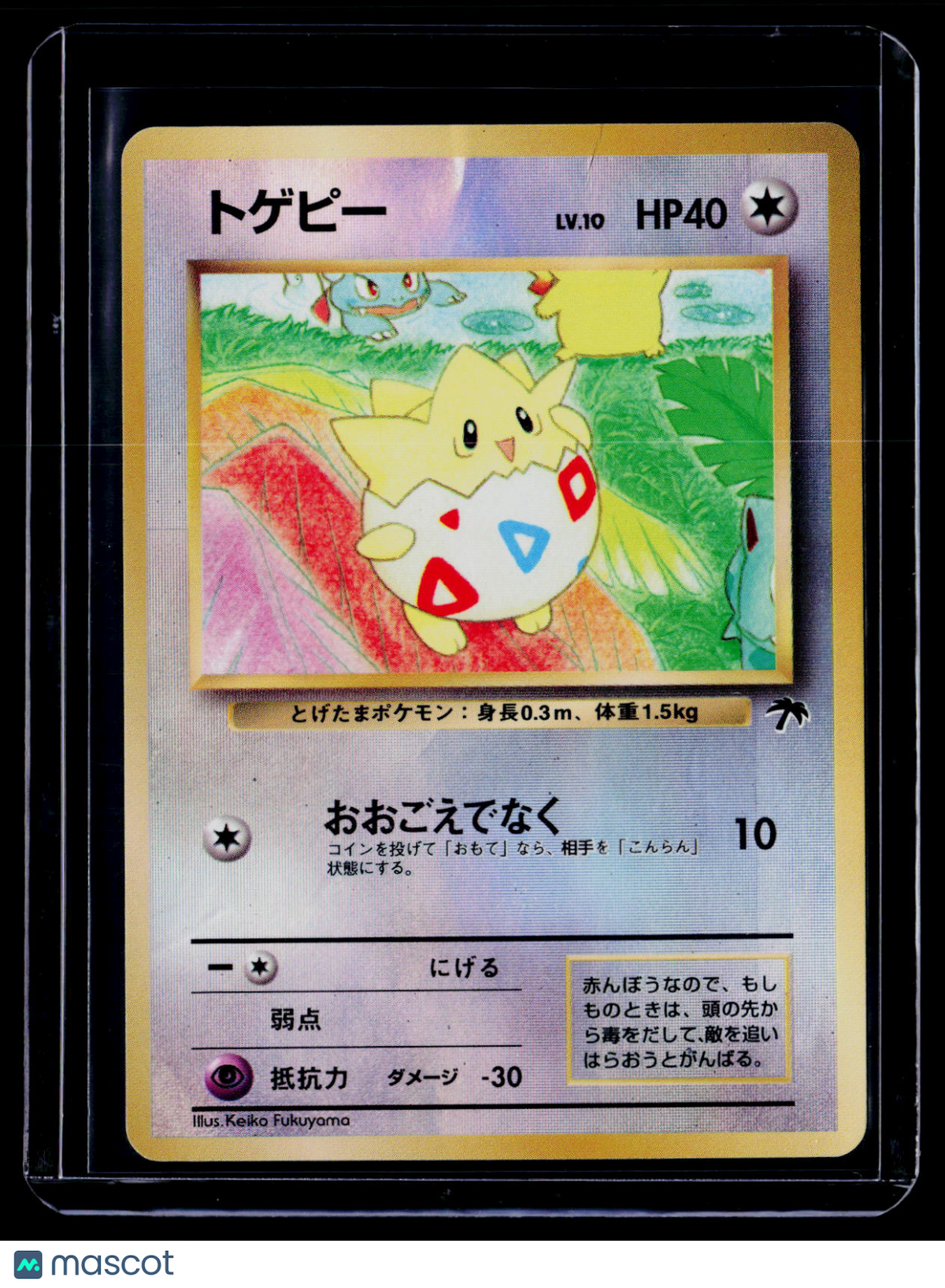 Pokemon Togepi Southern Islands Promo Japanese