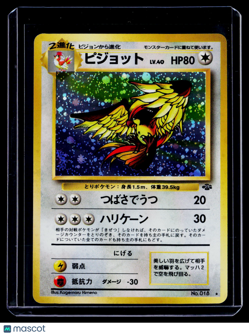 Pokemon Pidgeot 018 Japanese