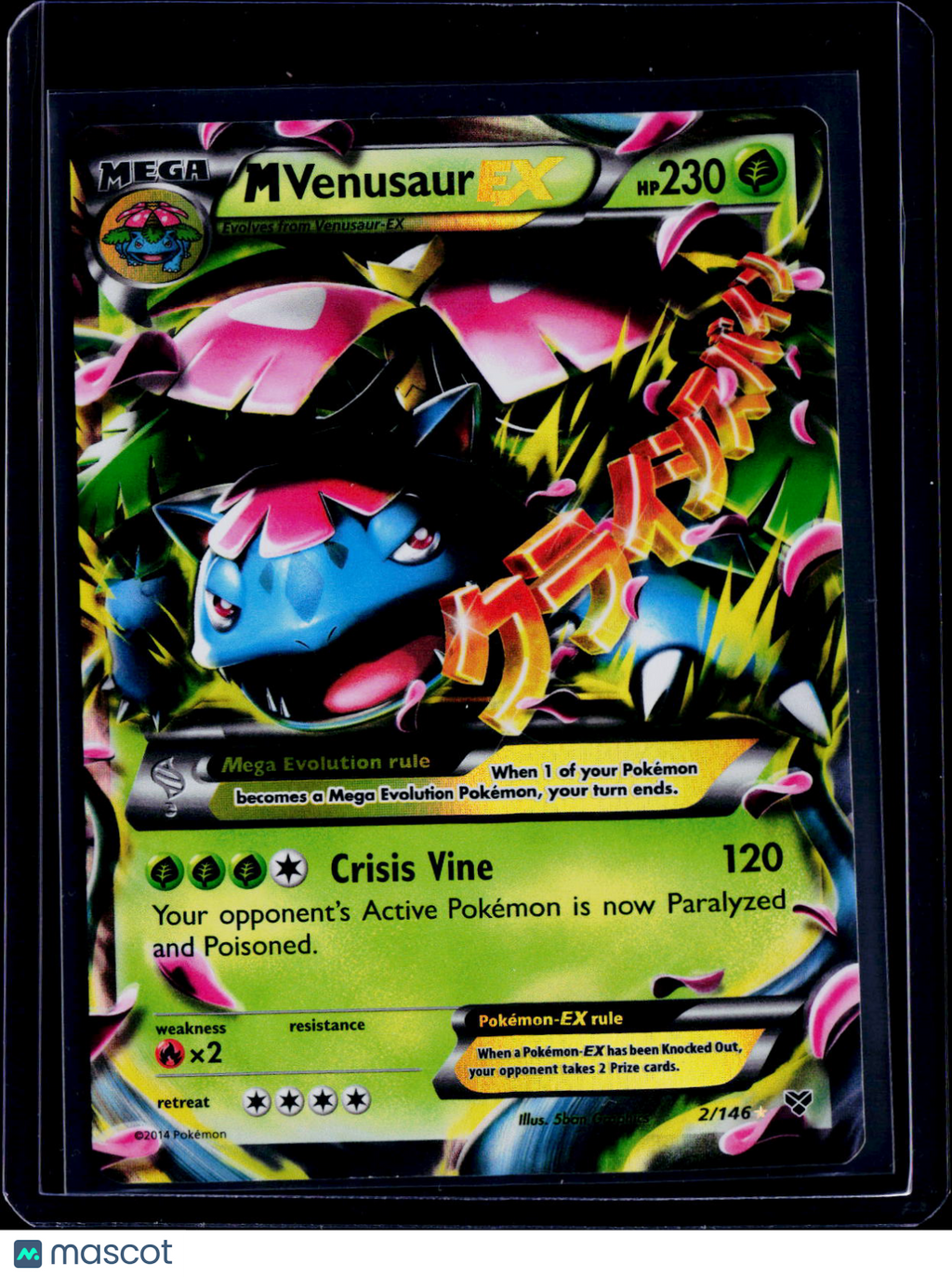 M Venusaur ex 2/146