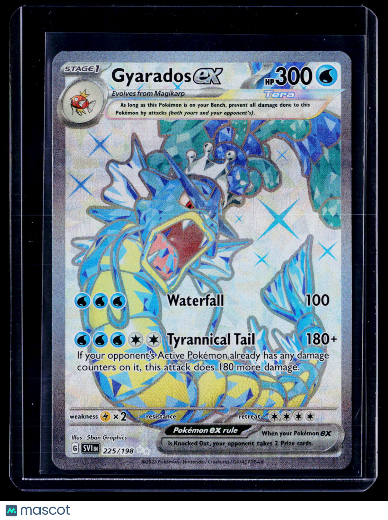 Pokemon Gyarados EX 225 198