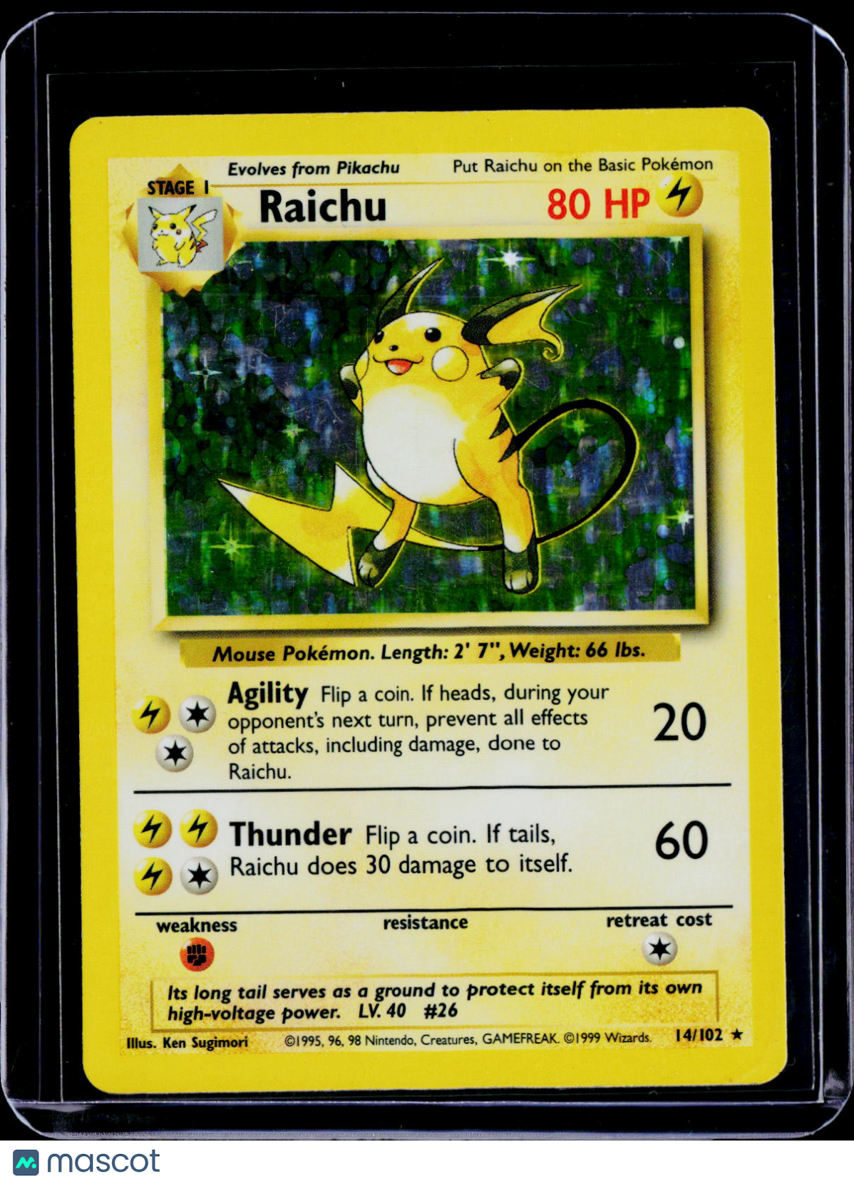 Raichu Holo 14/102