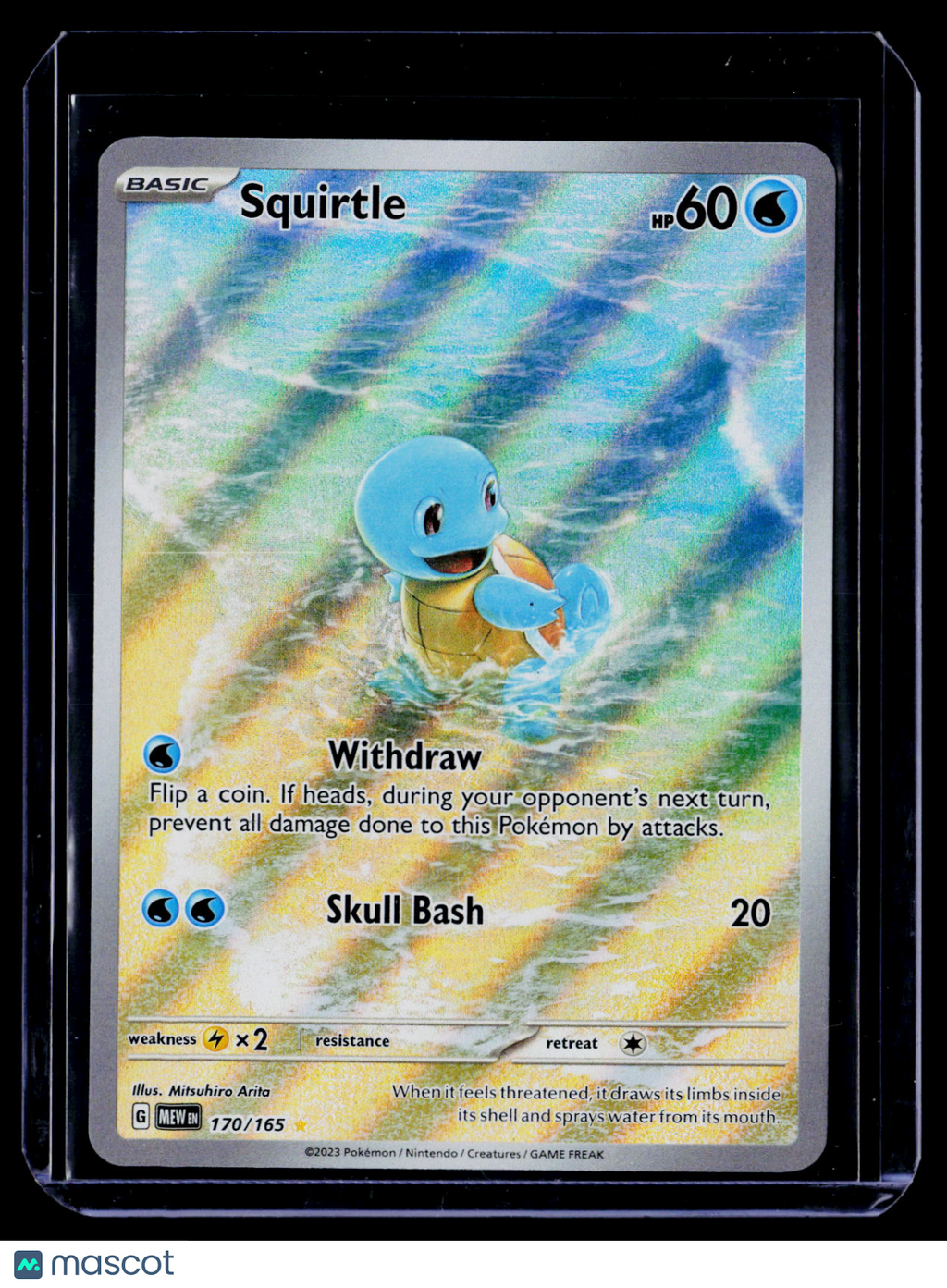 Squirtle 151
