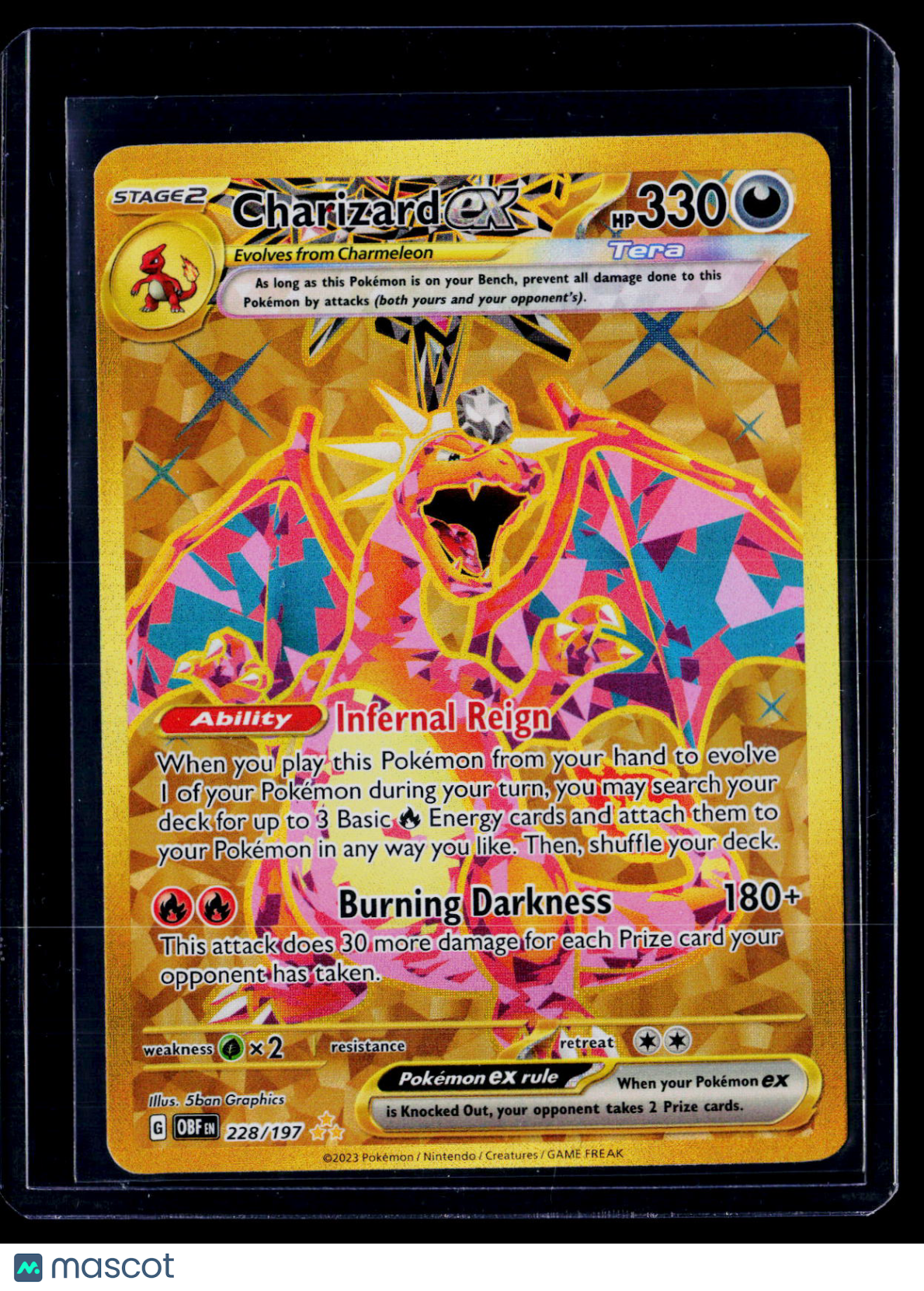 Pokemon Charizard Ex 228 197