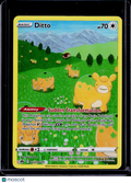 Ditto GG22/GG70