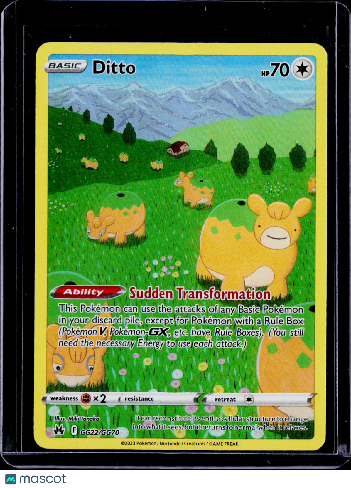 Ditto GG22/GG70