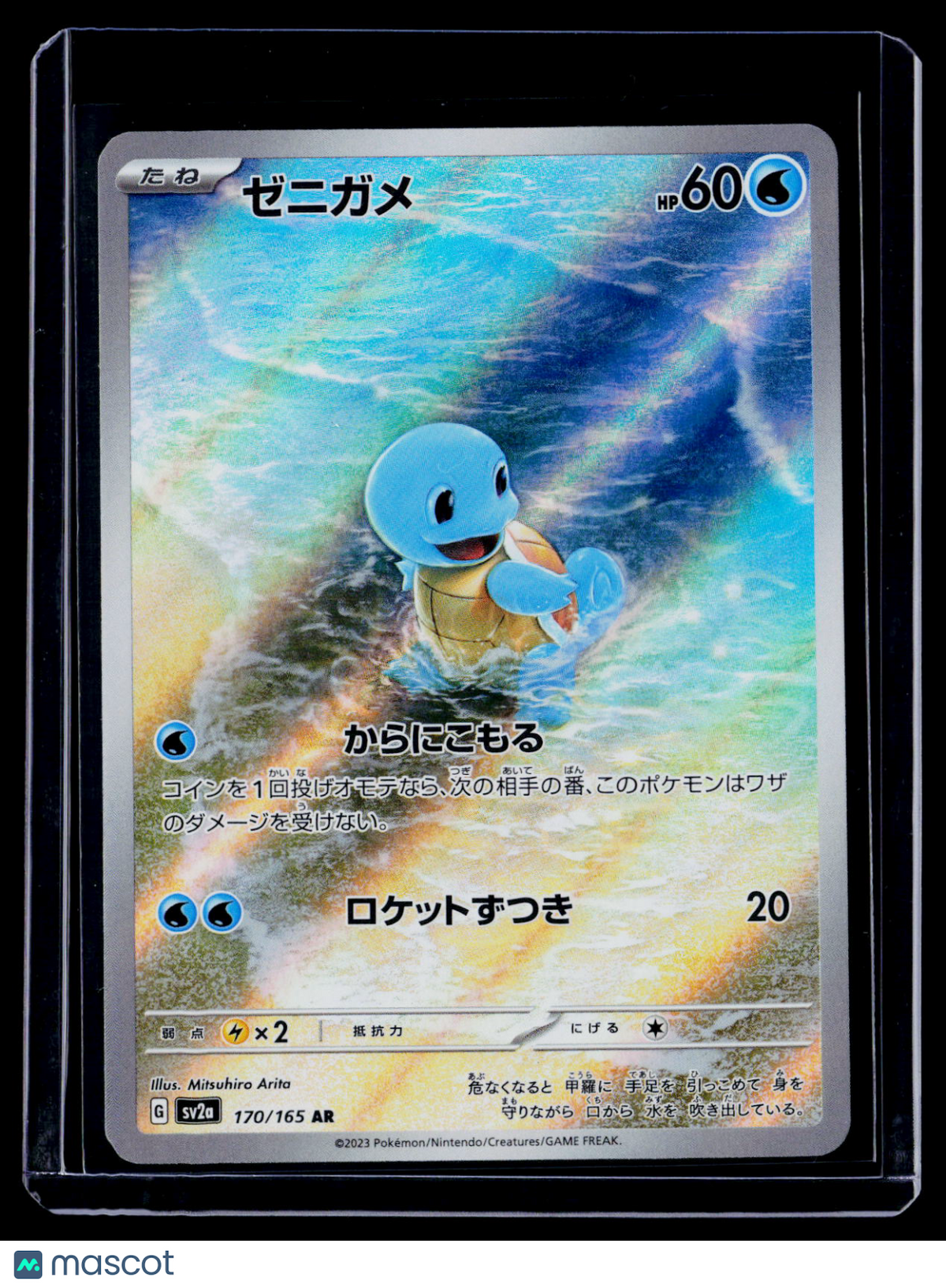 Pokemonn Squirtle Japanese 170 165