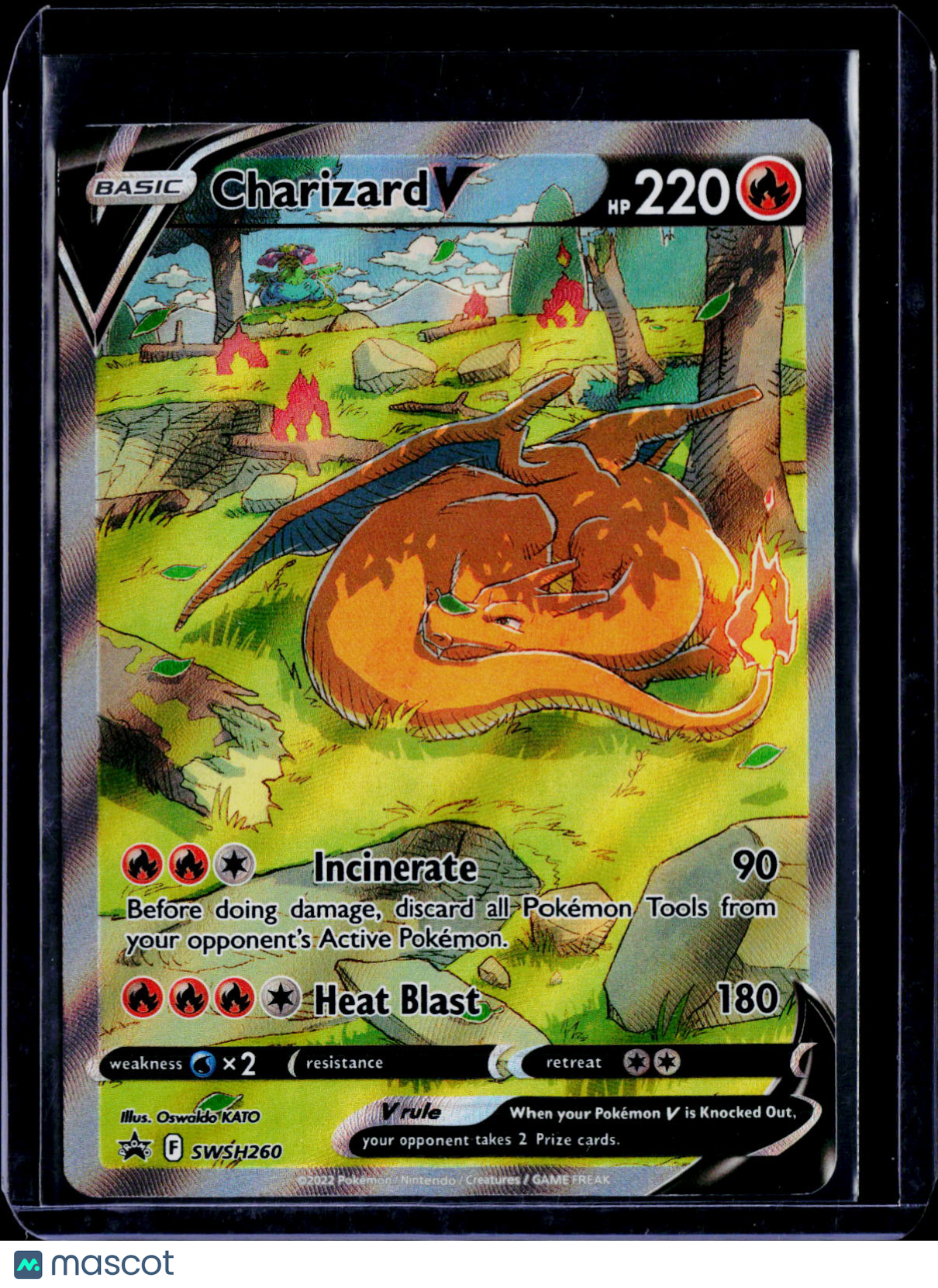 Charizard V SWSH260
