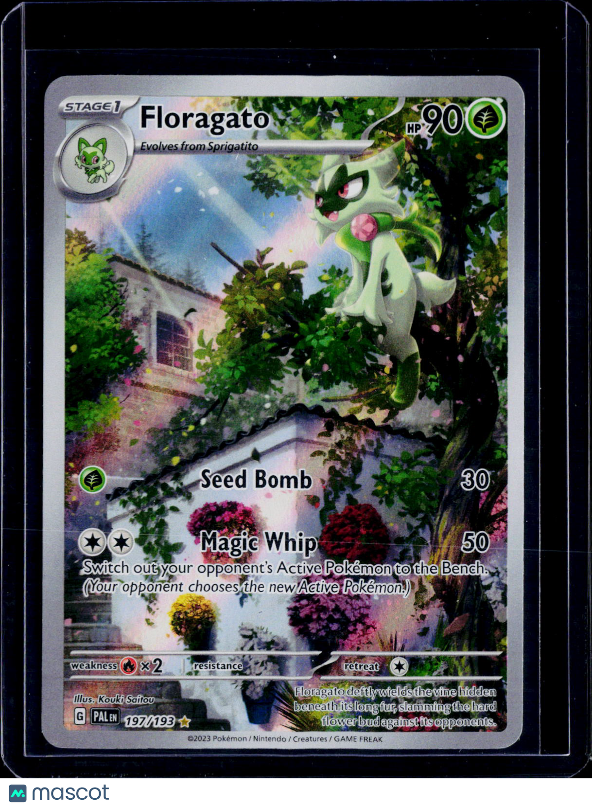 Floragato 197/193