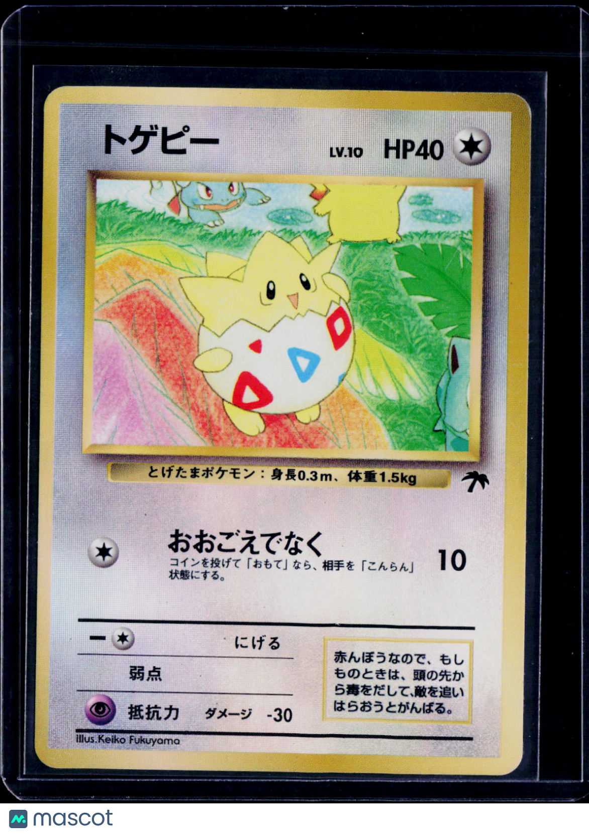 Togepi Southern Island Japanese