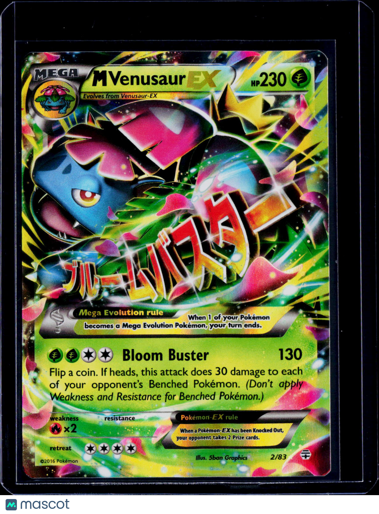 M Venusaur ex 2/83