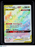 Pokemon Nagandel & Guzzlord 260 236