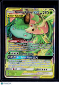 Venusaur & Snivy GX 1/236
