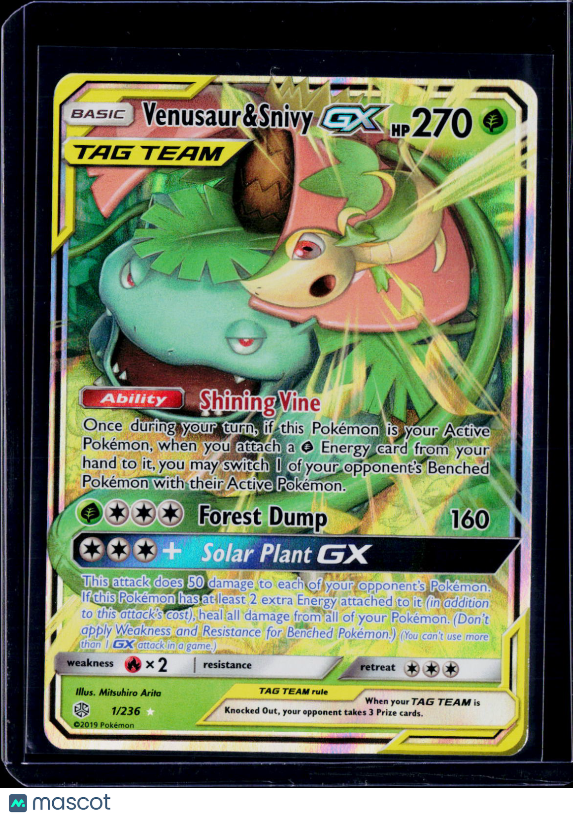 Venusaur & Snivy GX 1/236