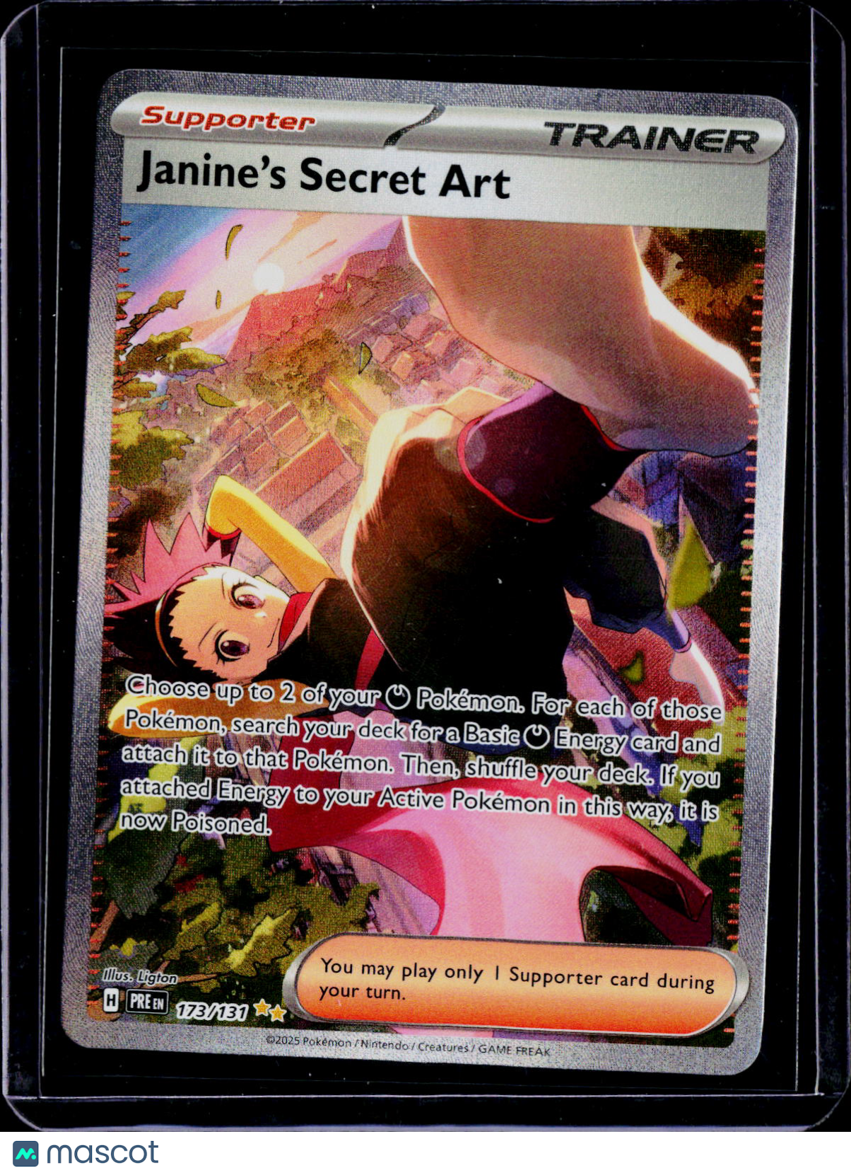 Janine's Secret Art 173/131