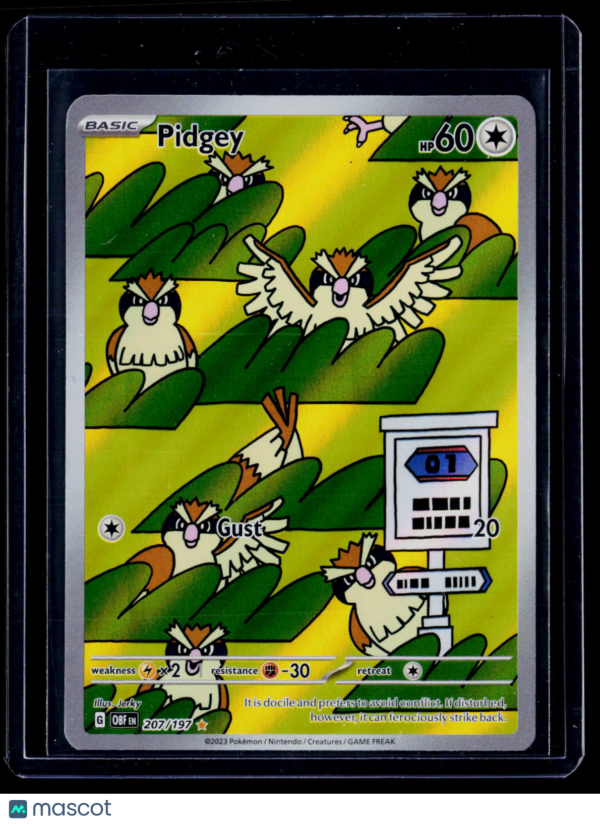 Pokemon Pidgey 207 197