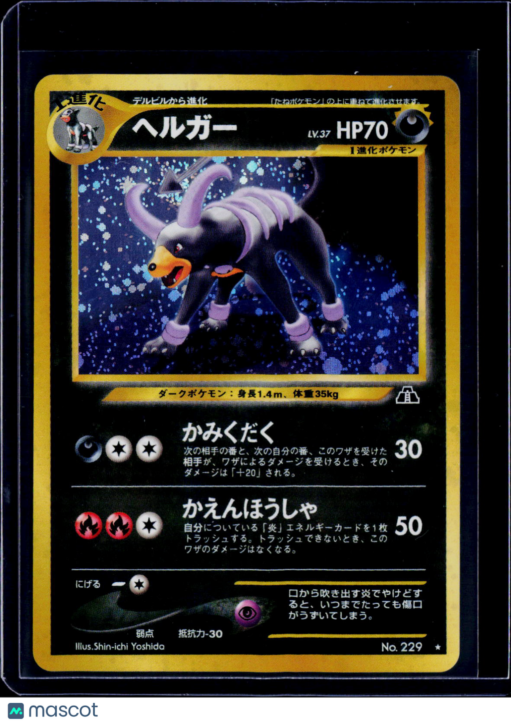 Houndoom Crossing the Ruins Holo Japanese