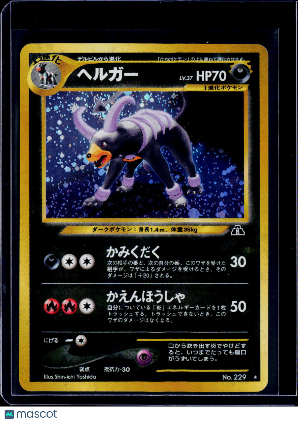 Houndoom Crossing the Ruins Holo Japanese