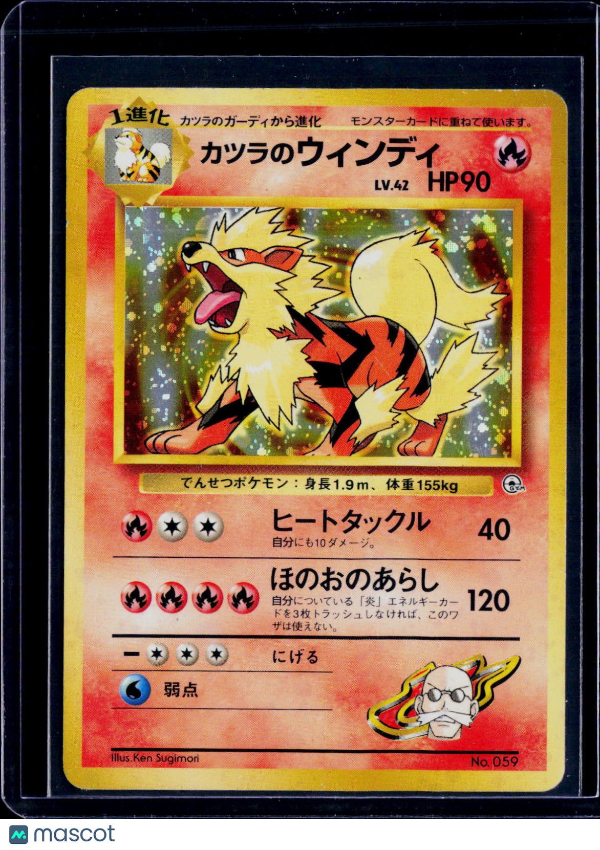 Blaine's Arcinine Holo Japanese