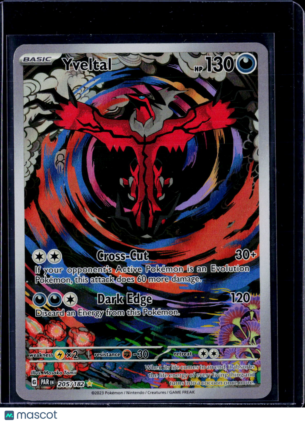 Yveltal 205 182