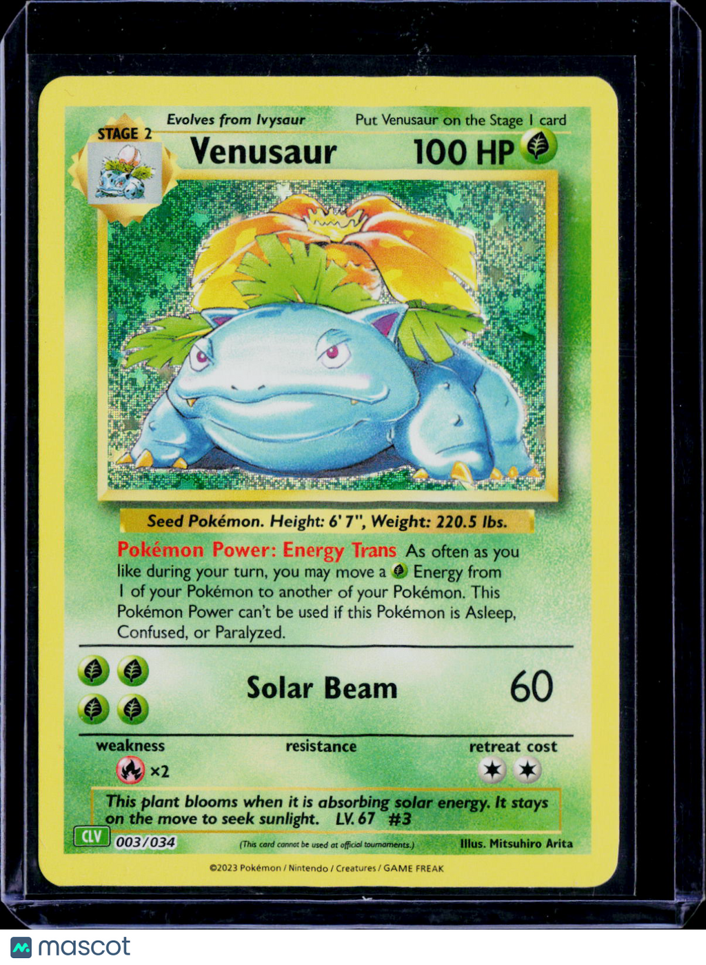 Venusaur 003/034