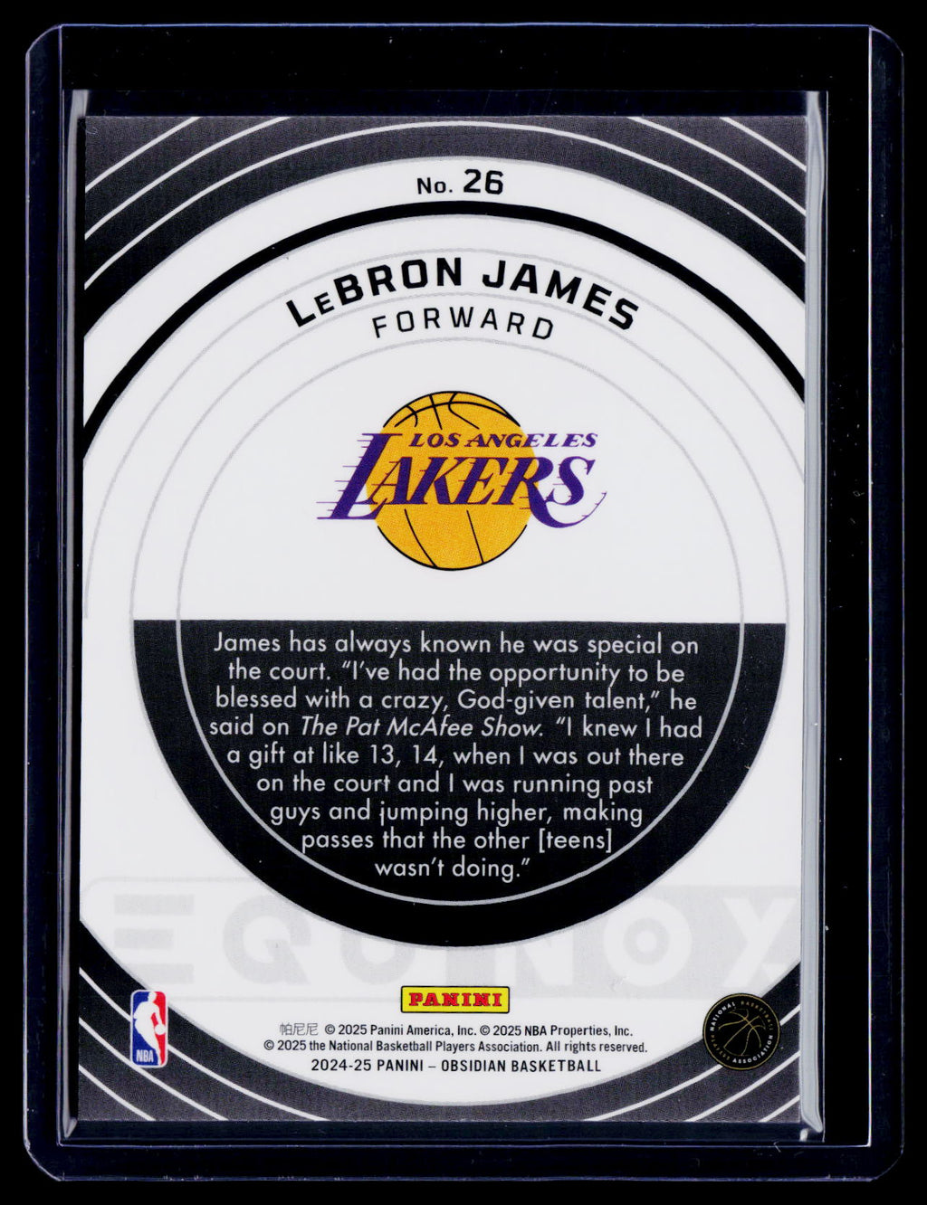 2024-25 Obsidian LeBron James Equinox Red Flood