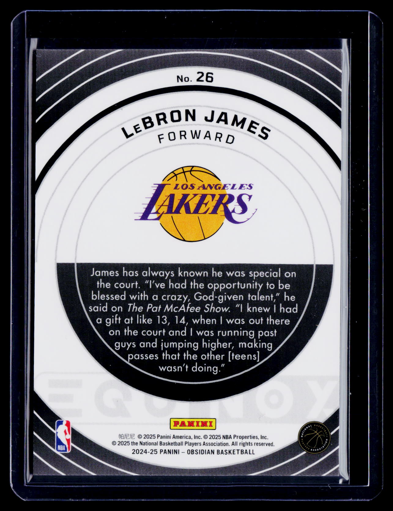 2024-25 Obsidian LeBron James Equinox Red Flood