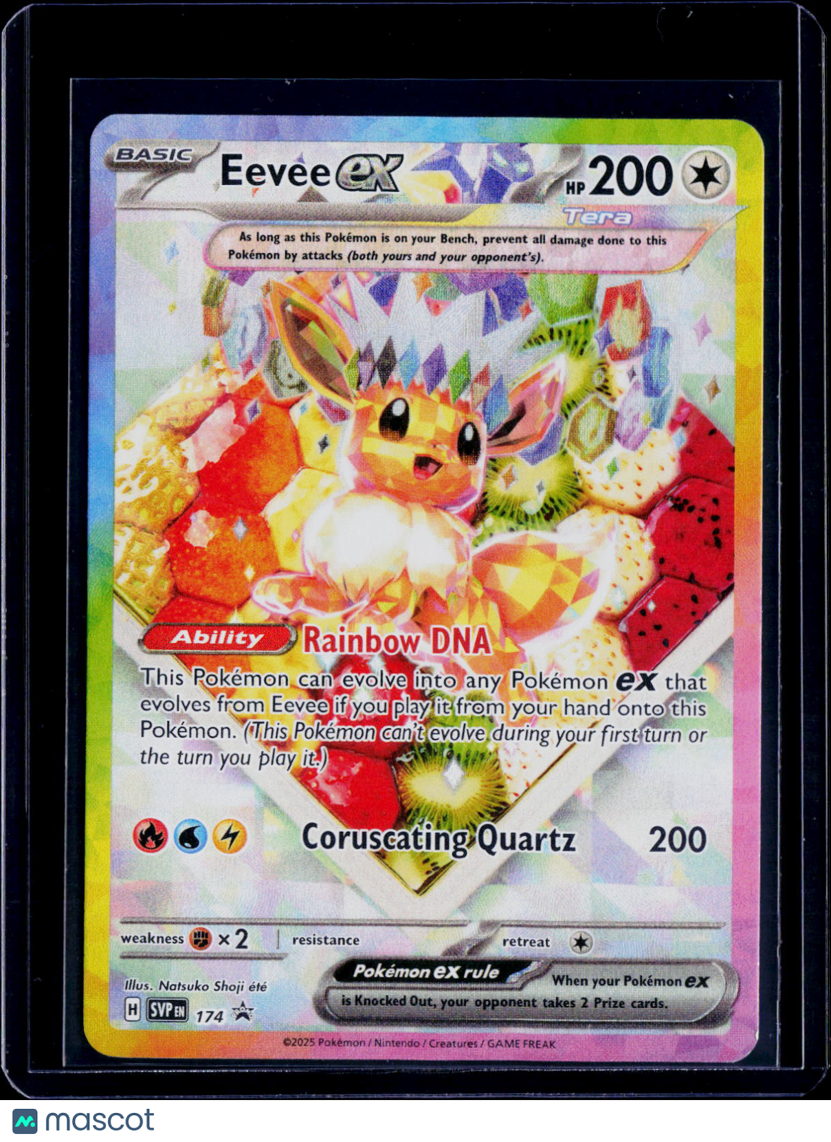 Eevee ex 174 Promo