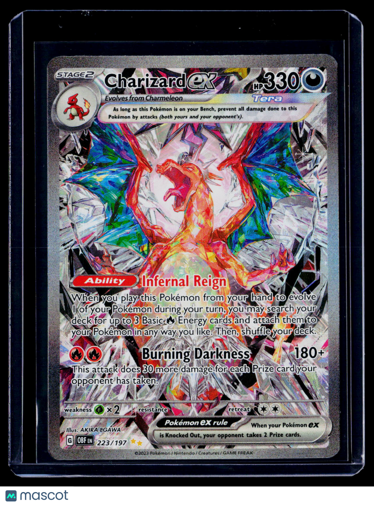 Pokemon Charizard EX 223 197