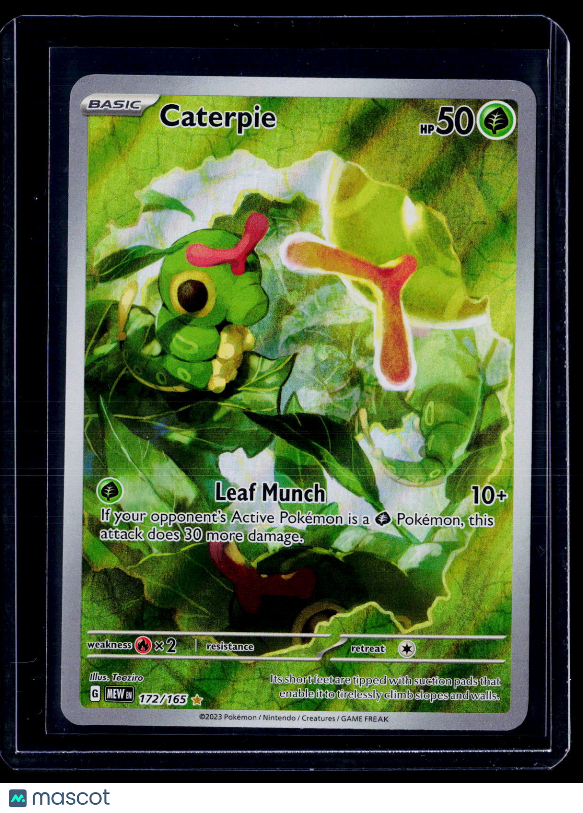 Pokemon Caterpie 172 165