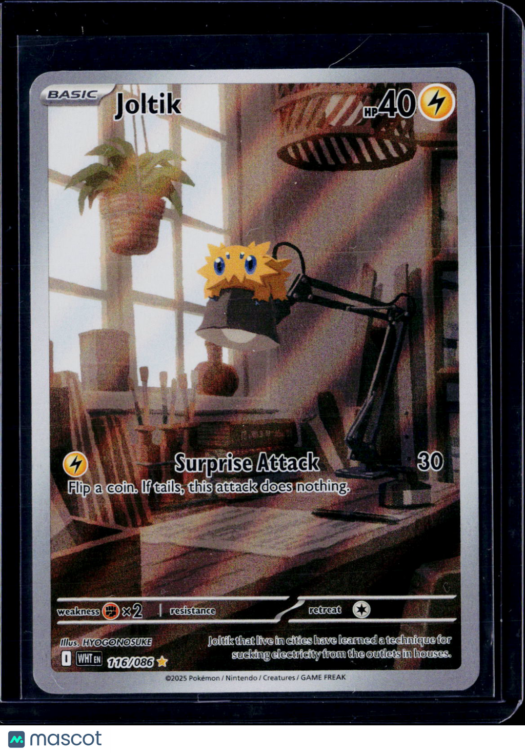 Pokemon Joltik 116 086
