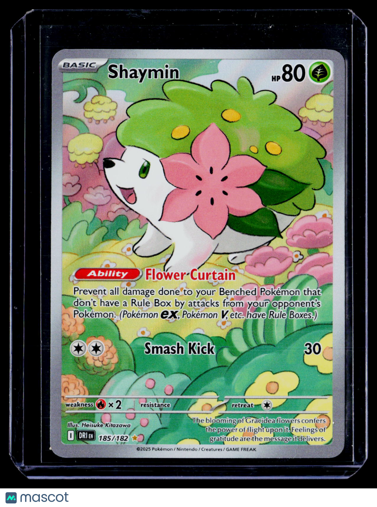 Pokemon Shaymin 185 182