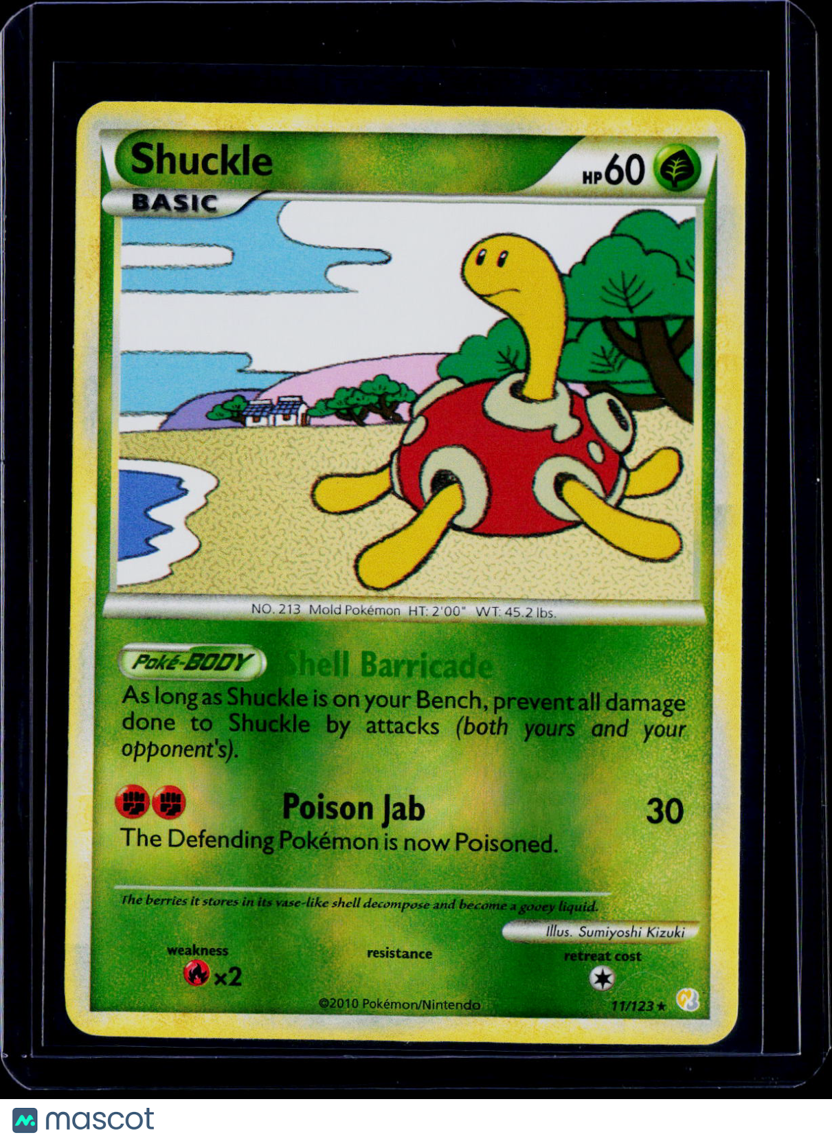 Shuckle 11/123