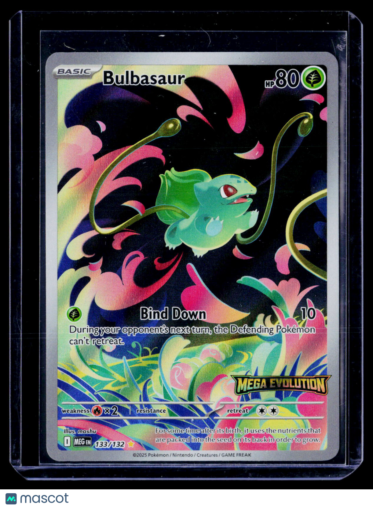 Pokemon Bulbasaur 133 132