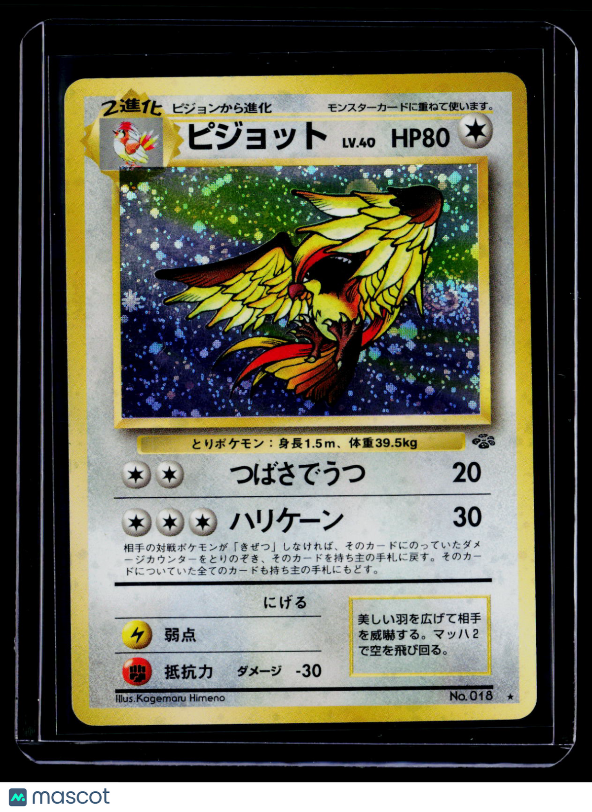 Pokemon Pidgeot Japanese 018