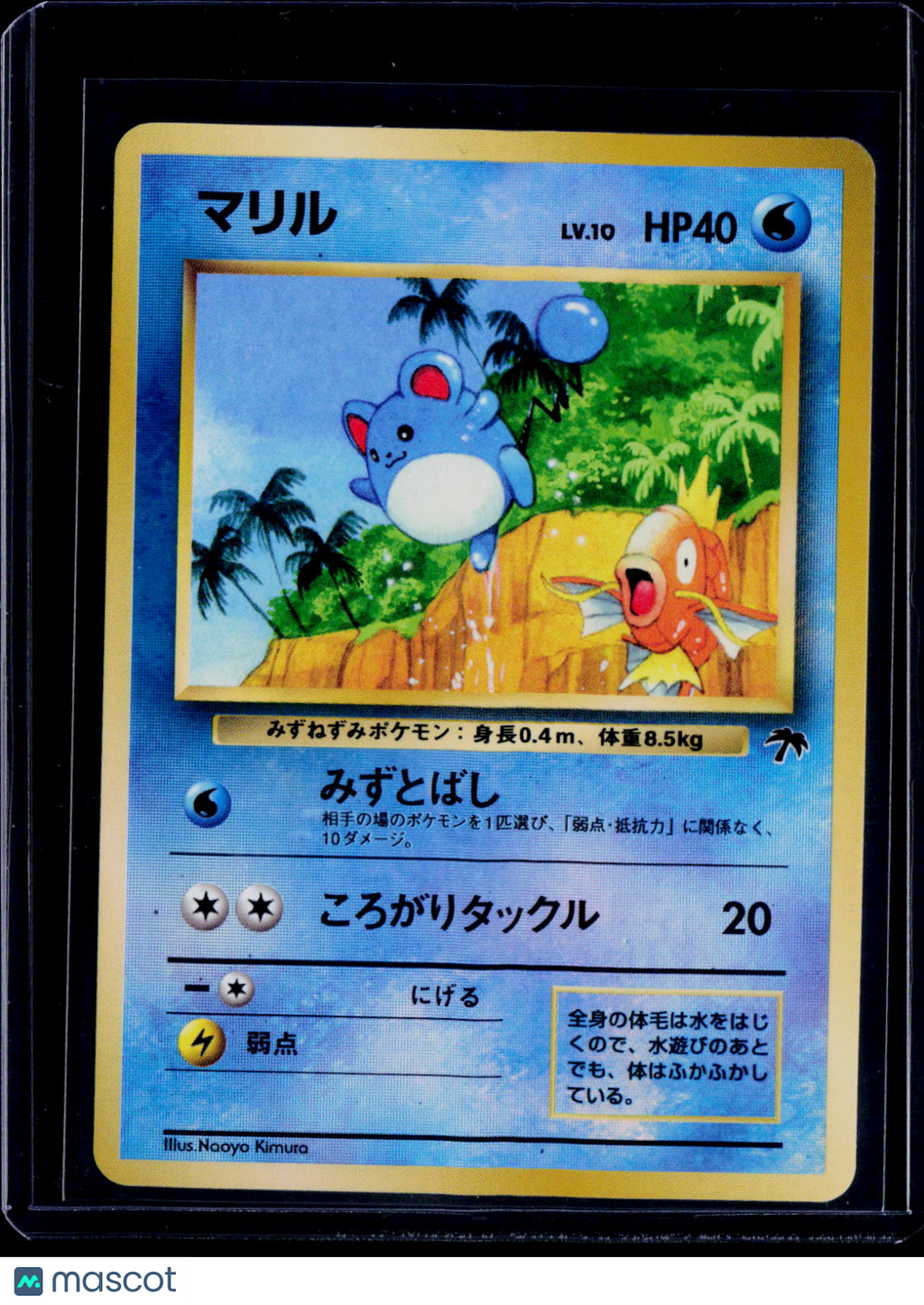 Marill Southern Island Japanese
