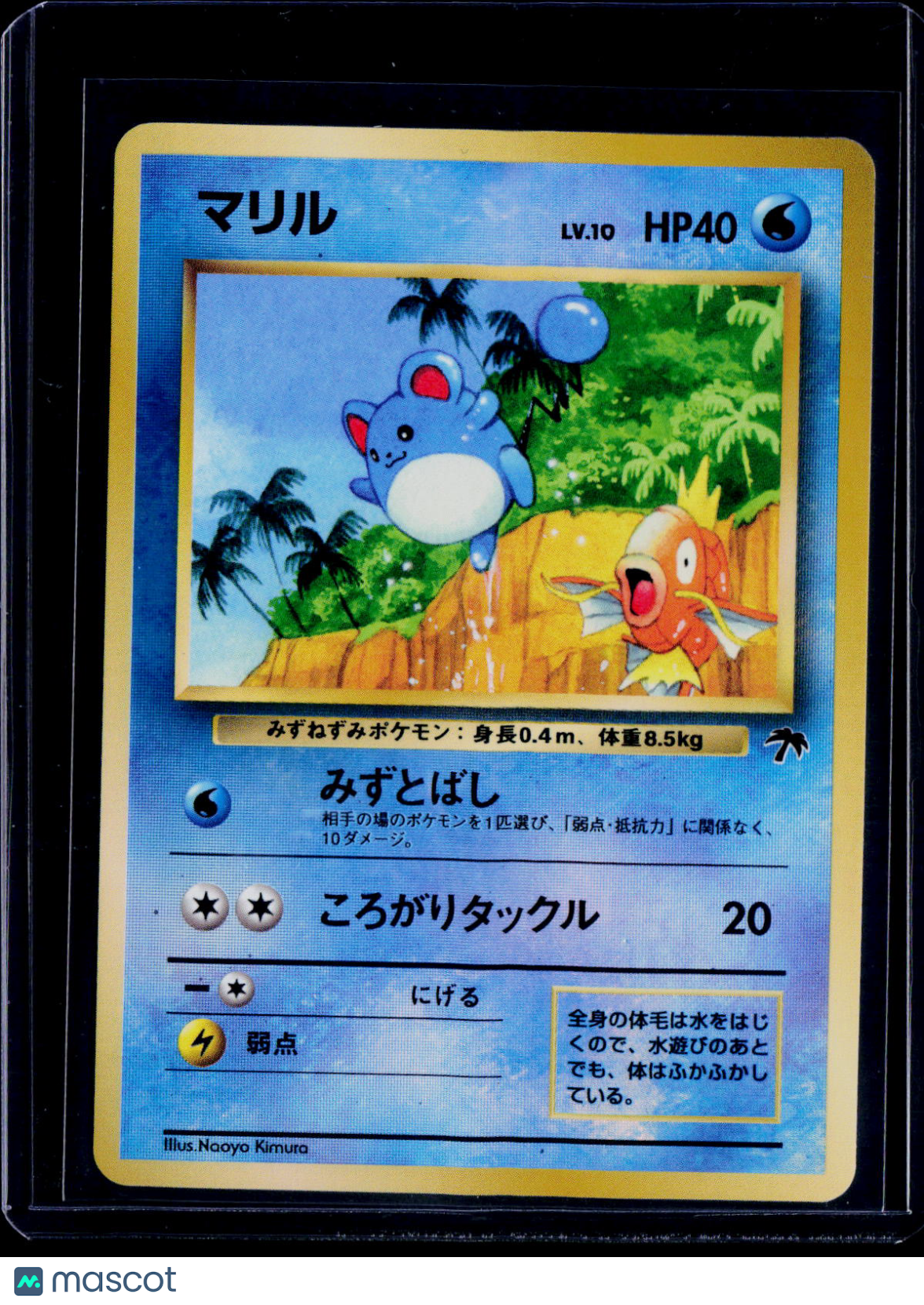 Marill Southern Island Japanese