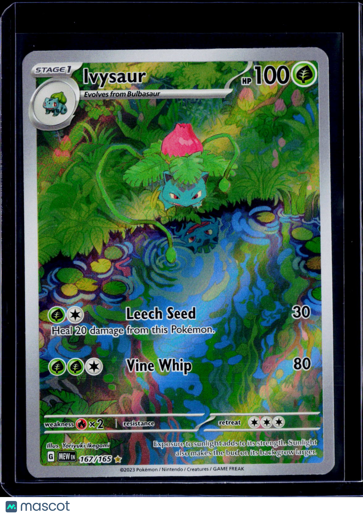 Ivysaur 167/165