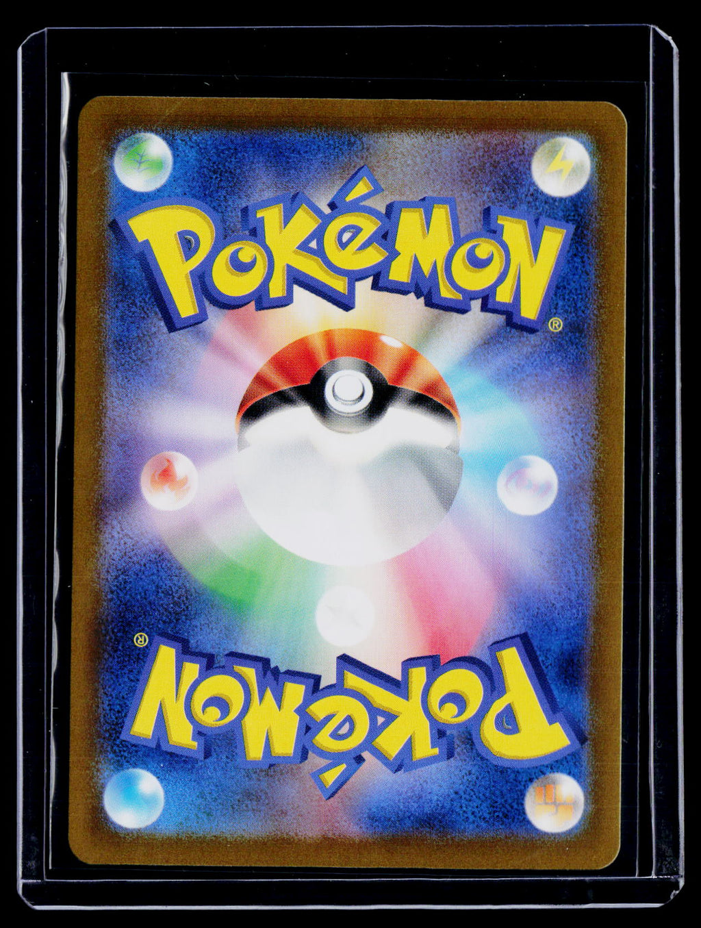 Pokemonn Squirtle Japanese 170 165