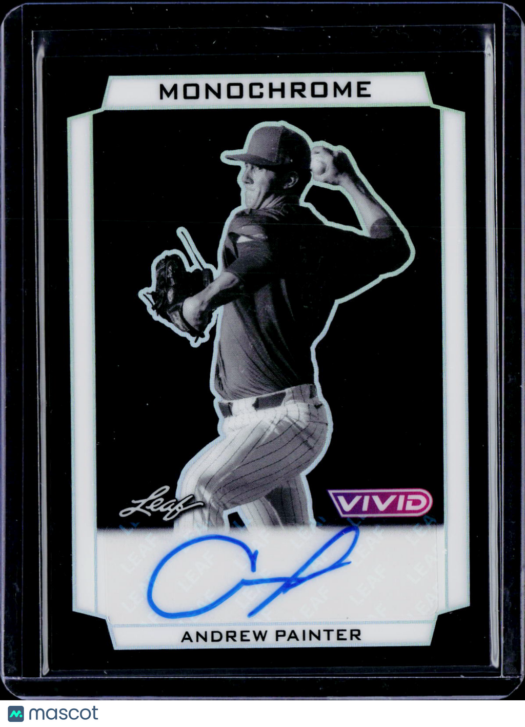 2025 Leaf Vivid Andrew Painter Monochrome Auto 1/1