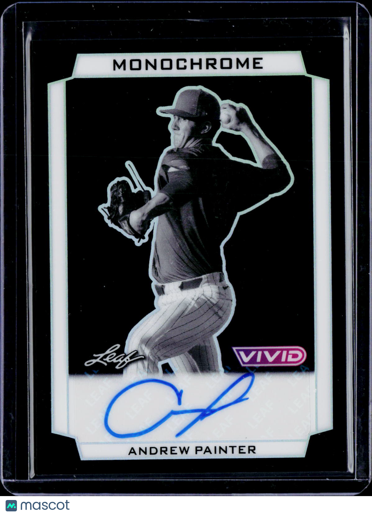 2025 Leaf Vivid Andrew Painter Monochrome Auto 1/1