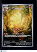 Ninetales 199/197