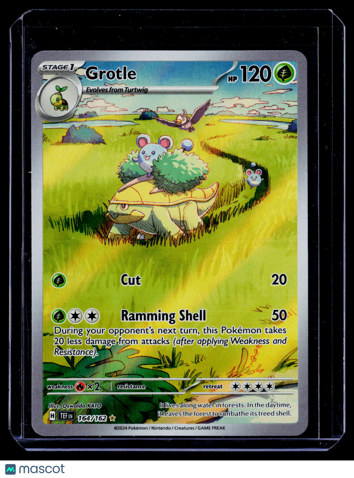 Pokemon Grotle 164 162