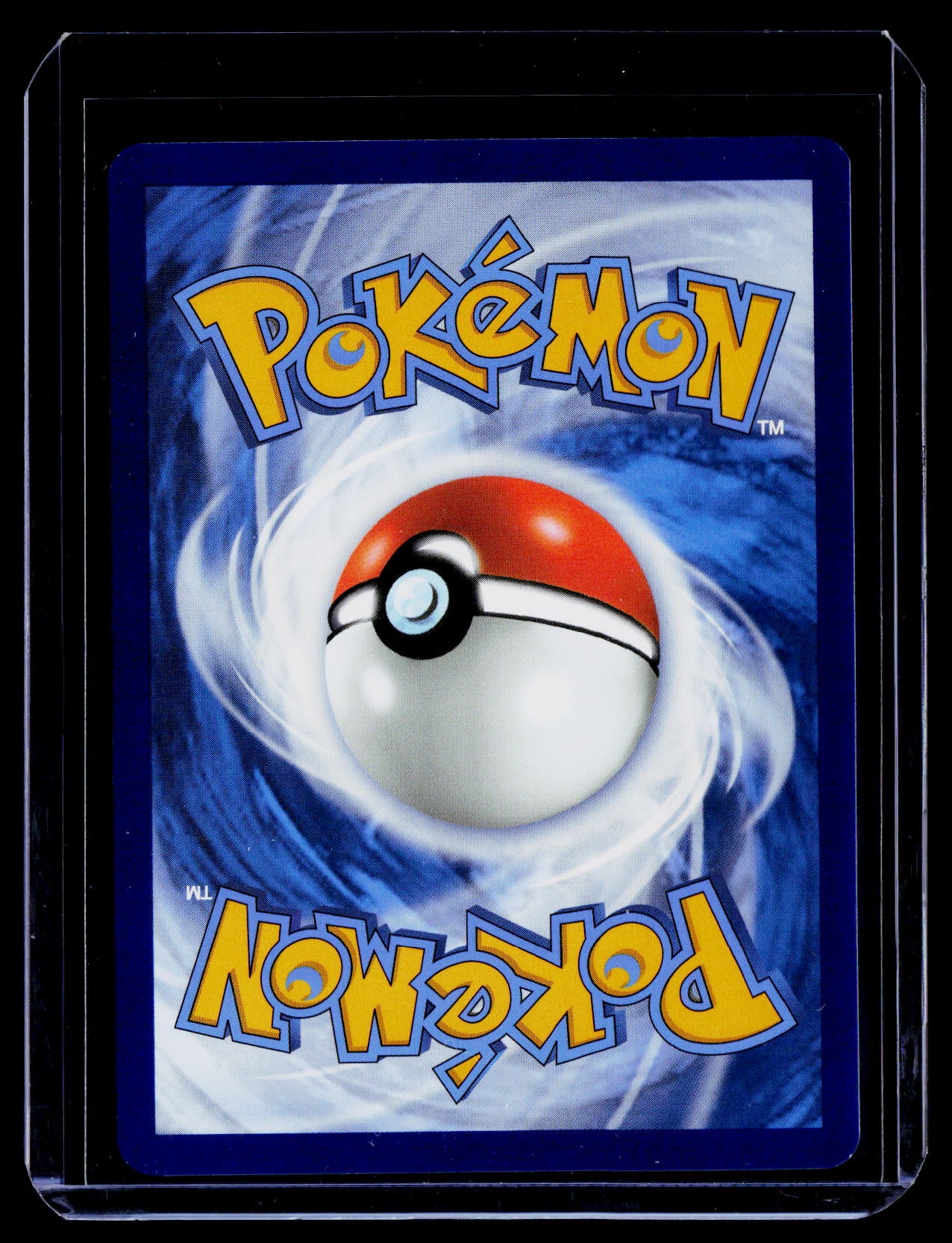 Squirtle 151