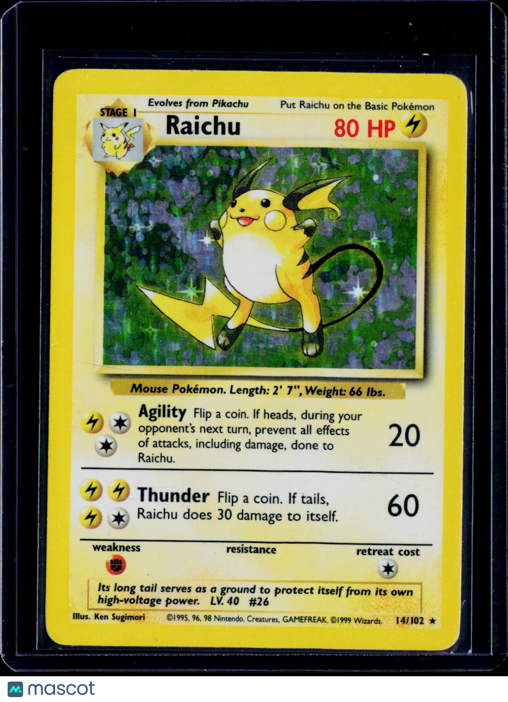 Raichu Holo 14/102