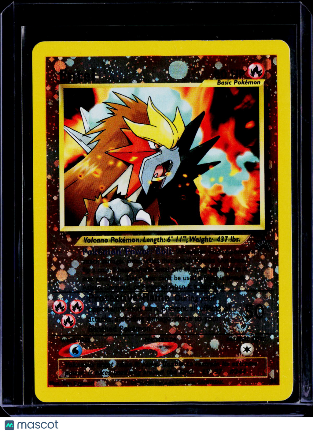 Entei 34 Promo