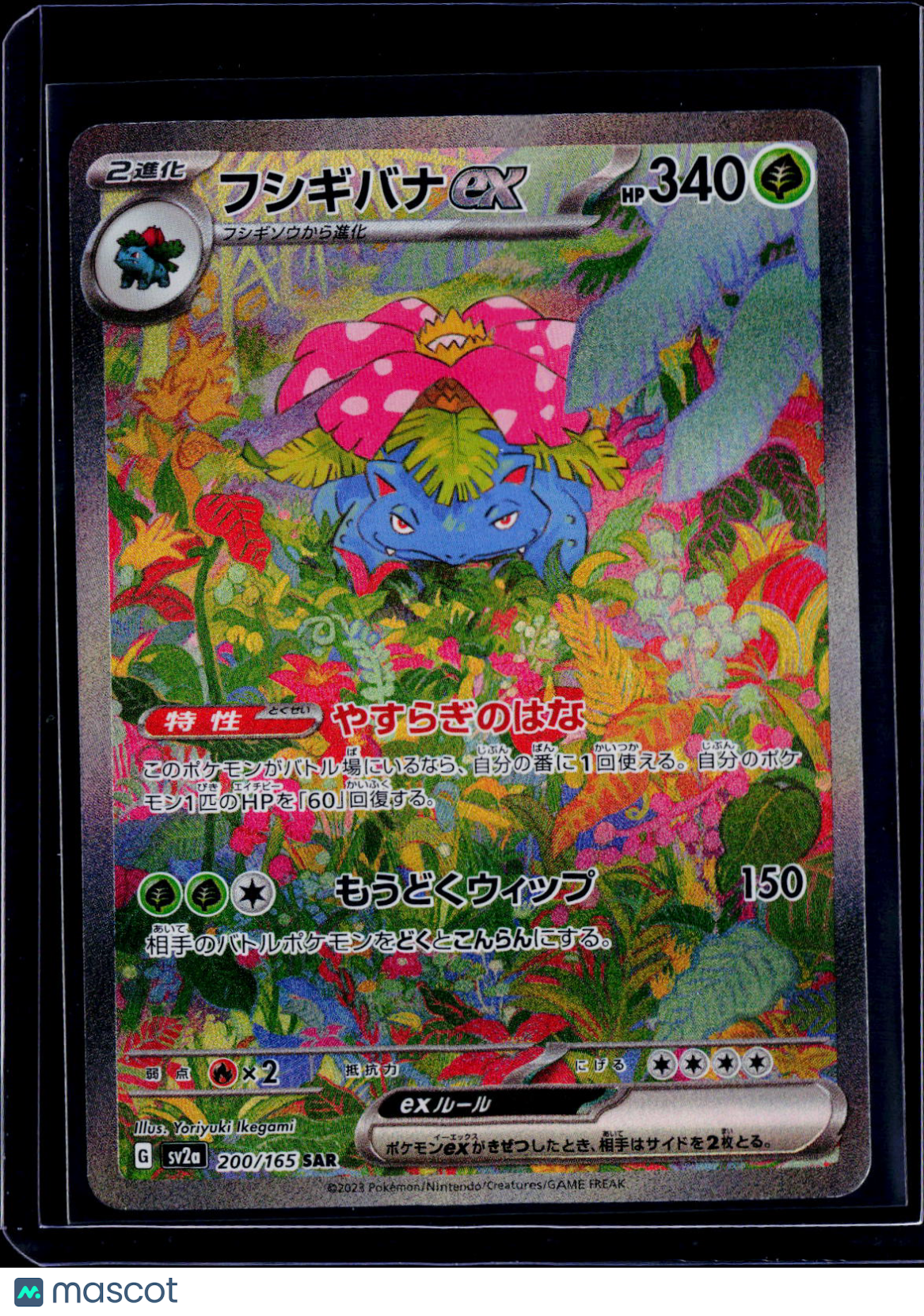 Venusaur ex 200/165 Japanese