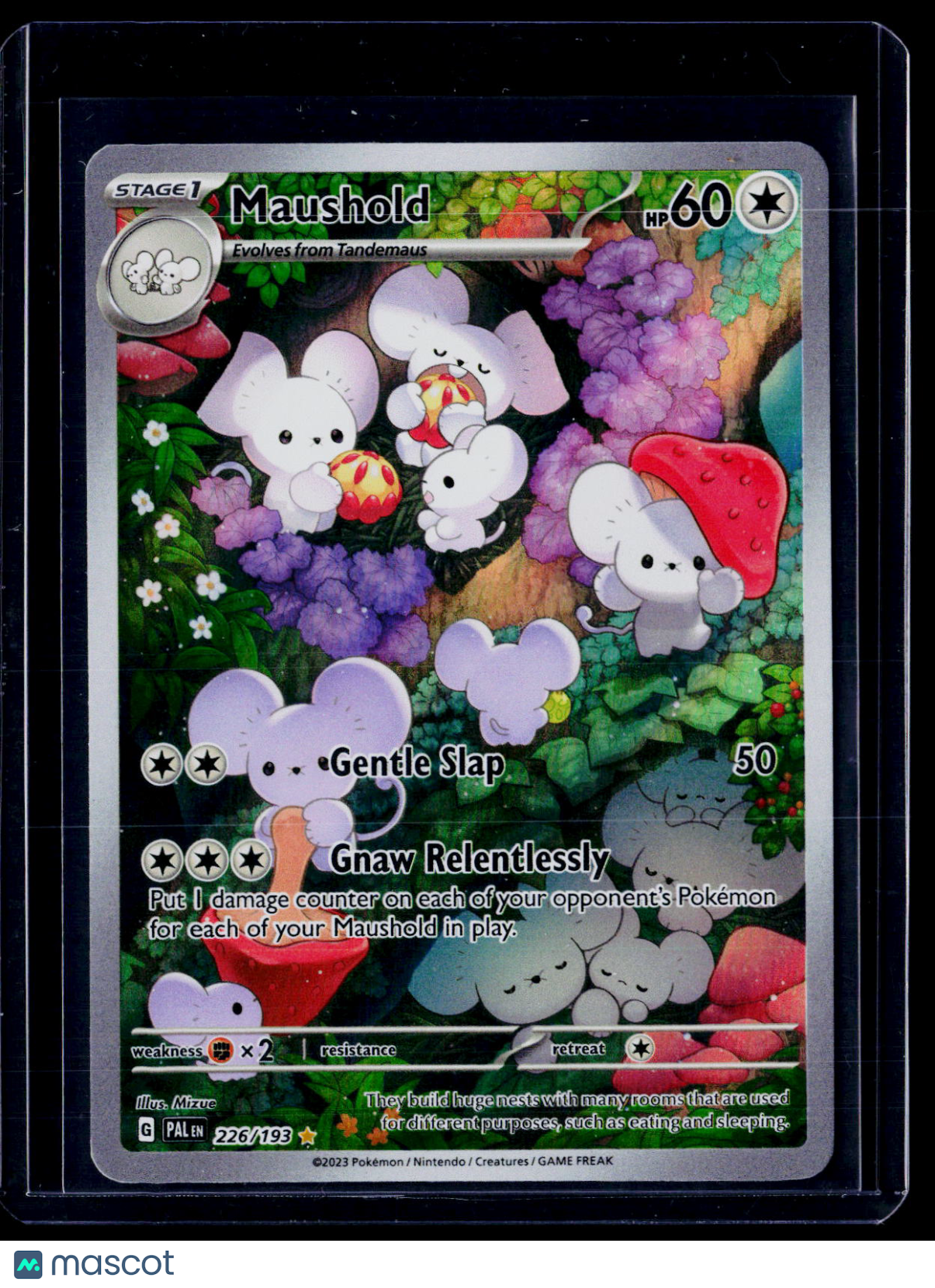 Pokemon Maushold 226 193