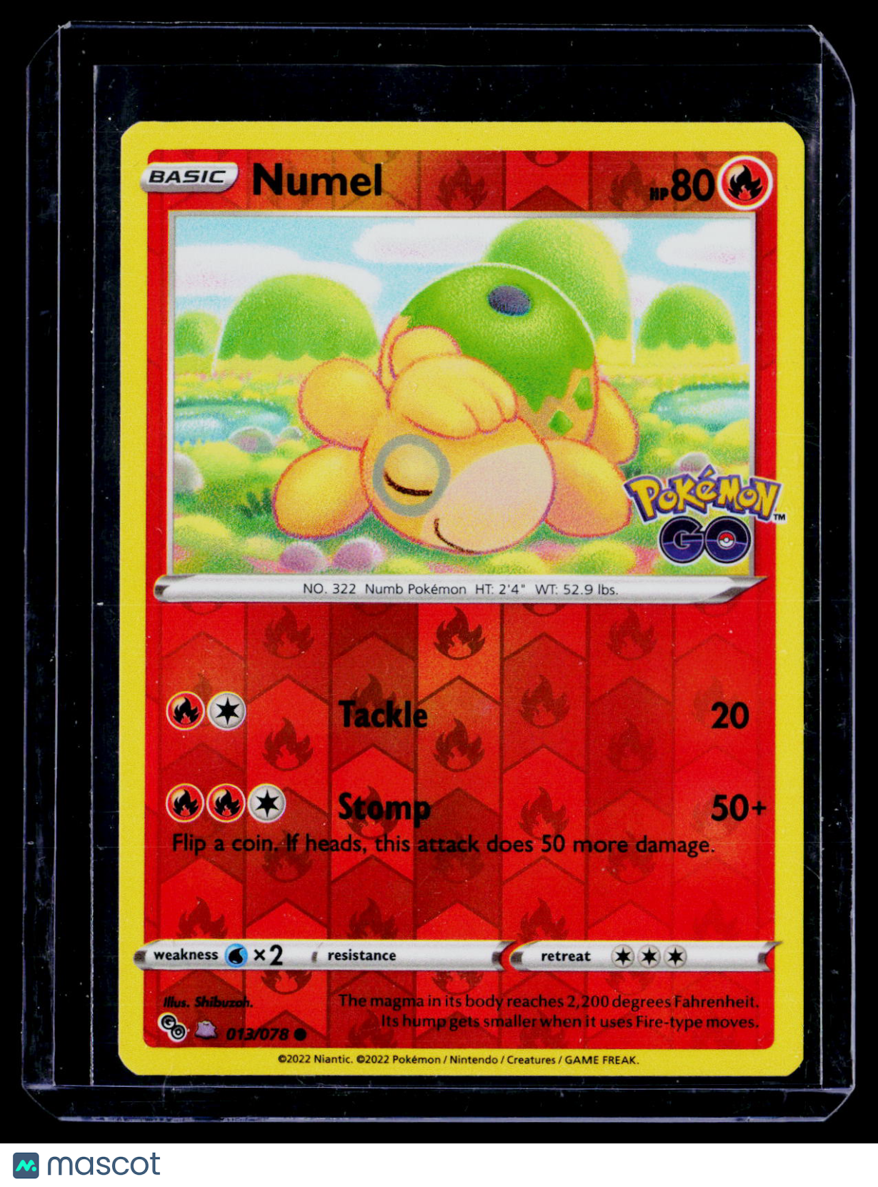 Pokemon Numel Peelabel Ditto 13 78