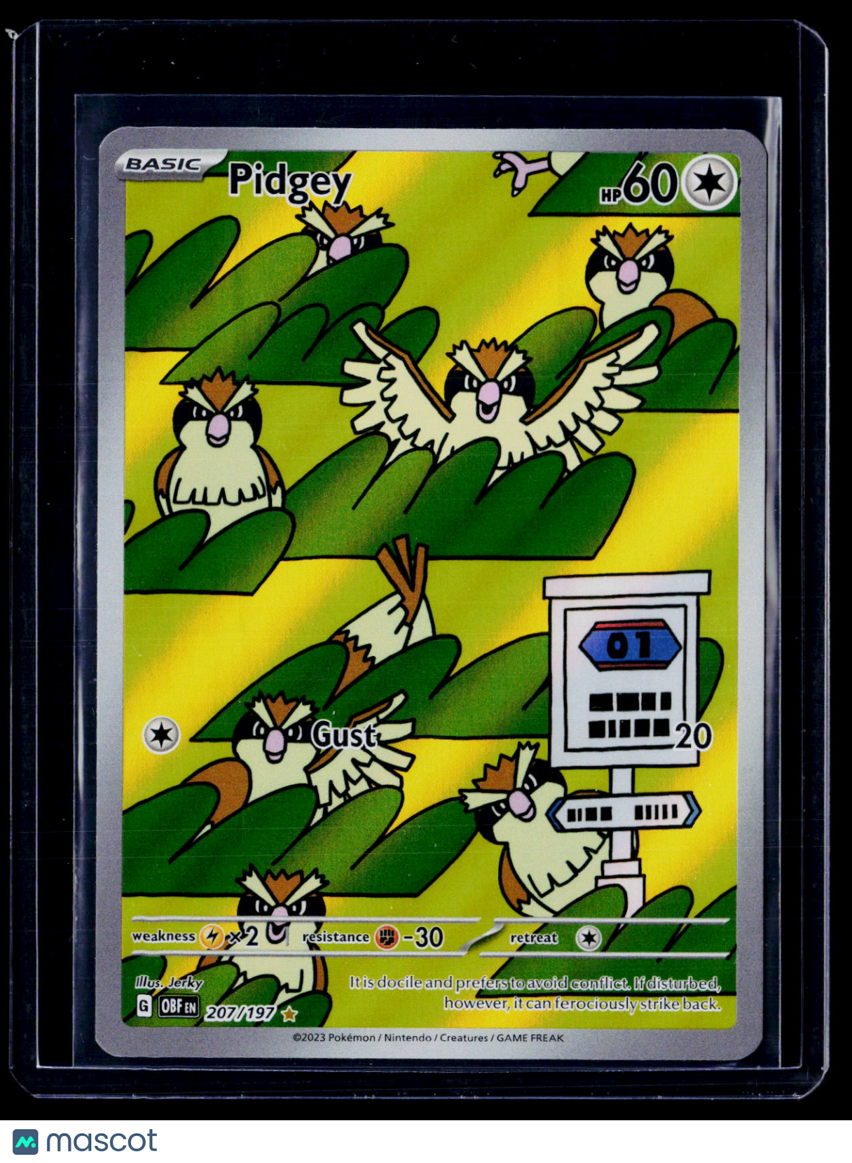 Pokemon Pidgey 207 197